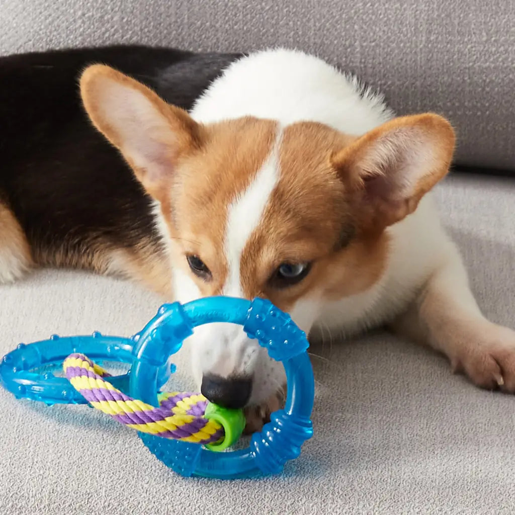 Petstages Dental Links Dog Chew Toy – Puppies &Adults, Strong Chewers, Multiple Textures & Rope