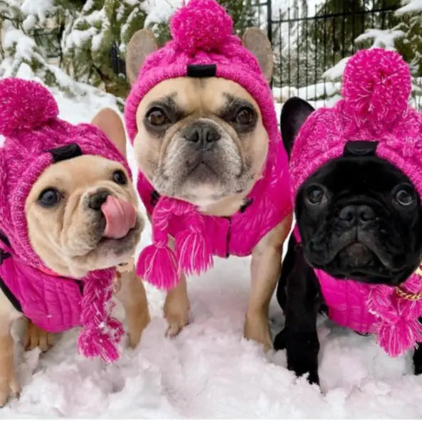Cozy Pom-Pom Beanie - Winter Knit Hat for Dogs & Cats