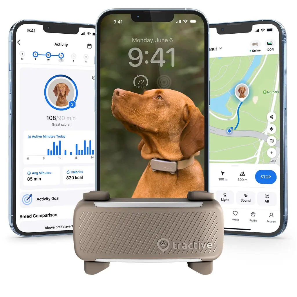 Tractive Smart Dog GPS Tracker with Live Tracking and Vital Signs Monitoring