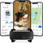Tractive Smart Dog GPS Tracker with Live Tracking and Vital Signs Monitoring