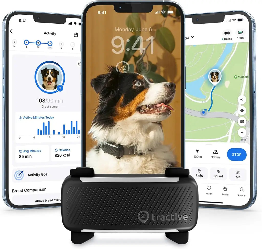 Tractive Smart Dog GPS Tracker with Live Tracking and Vital Signs Monitoring