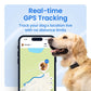 Tractive Smart Dog GPS Tracker with Live Tracking and Vital Signs Monitoring