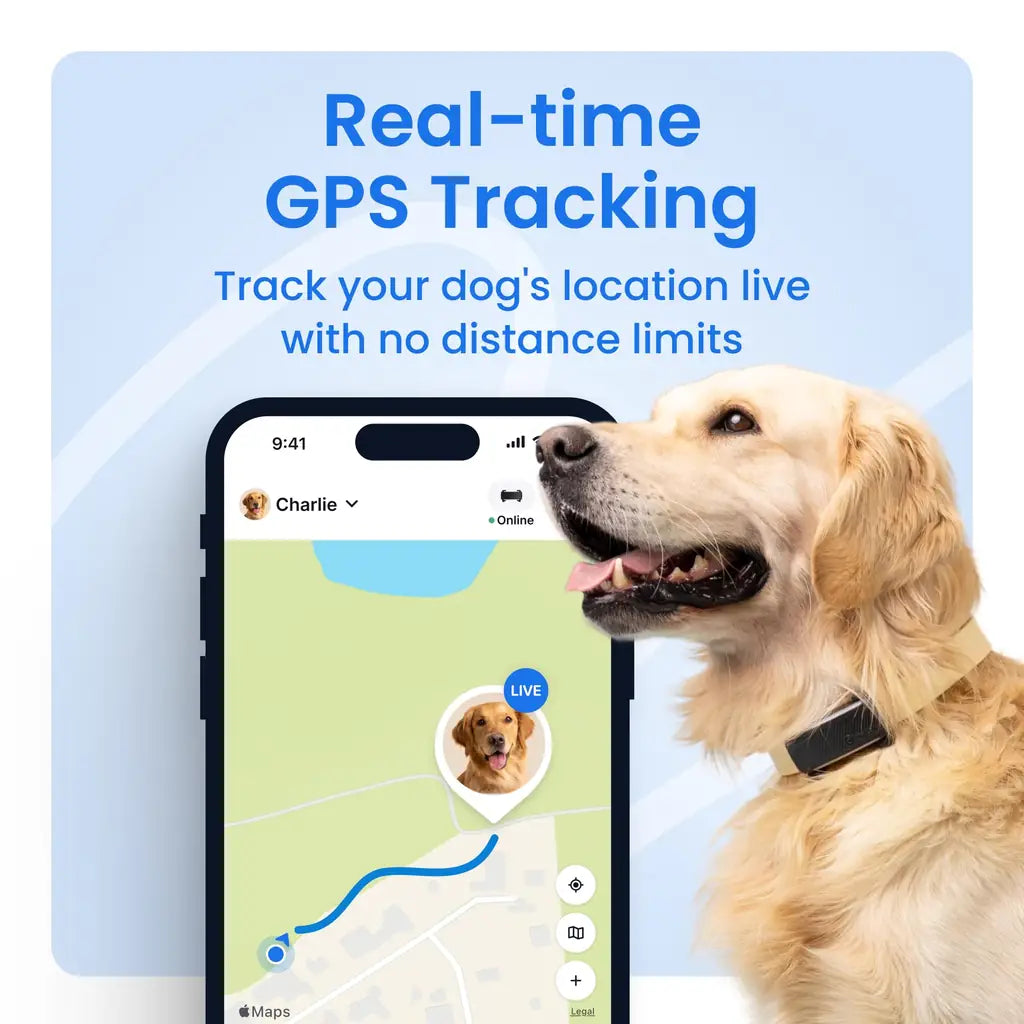 Tractive Smart Dog GPS Tracker with Live Tracking and Vital Signs Monitoring