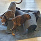 Cat Play Blanket Mat – Interactive Entertainment Toy