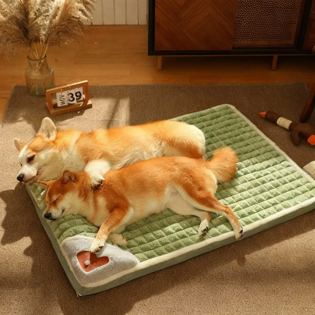 Cozy Avocado Dog Bed - Plush & Washable Pet Mat