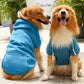 Adventure Ready Hoodie - Fleece-Lined Dog & Cat Sweater with Zipper Pocket