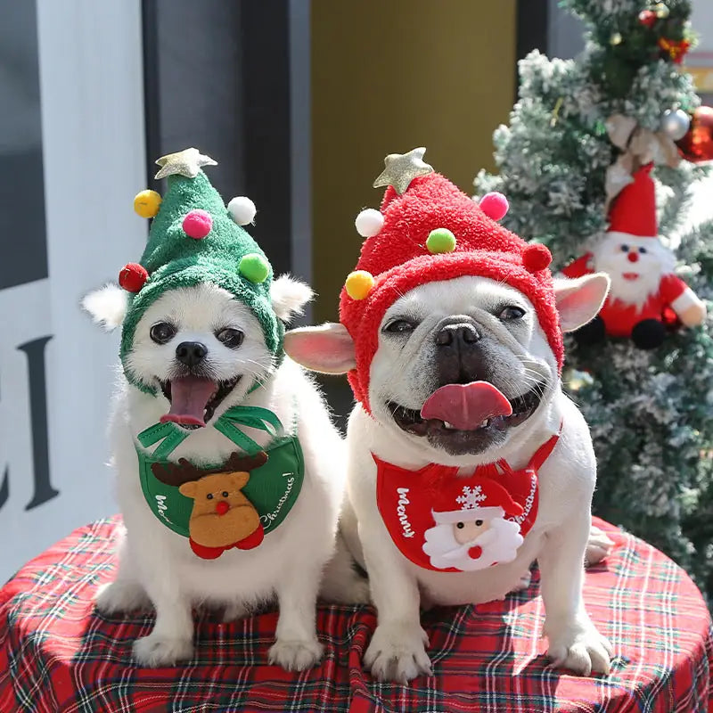 Festive Pet Set - Christmas Hat & Bib for Dogs and Cats