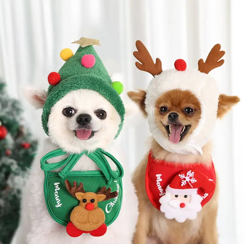 Festive Pet Set - Christmas Hat & Bib for Dogs and Cats
