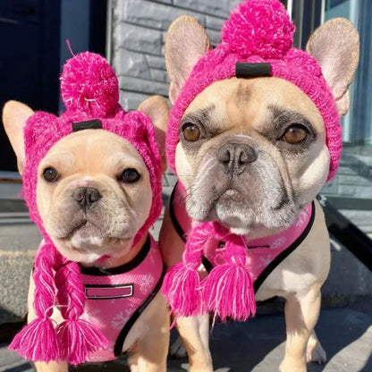 Cozy Pom-Pom Beanie - Winter Knit Hat for Dogs & Cats