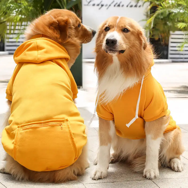 Adventure Ready Hoodie - Fleece-Lined Dog & Cat Sweater with Zipper Pocket