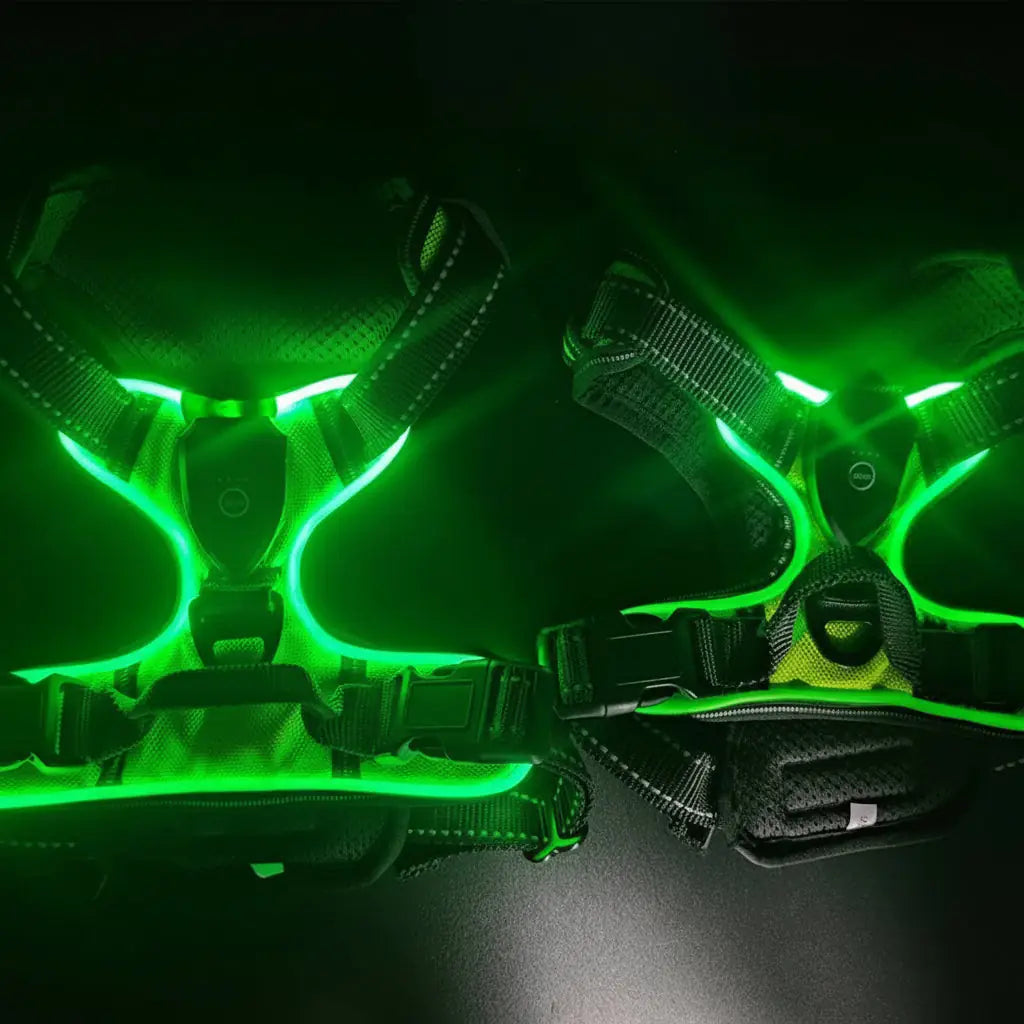 LED Dog Harness with Lights - Rechargeable Light Up Vest & Leash Set (USB Charging)
