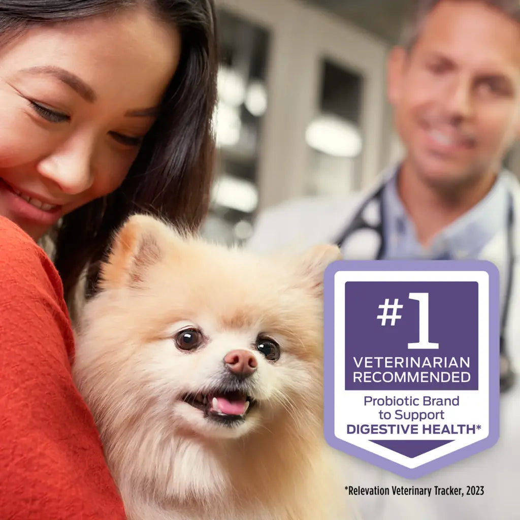 Dog Probiotics FortiFlora Daily Probiotic Supplement for Dogs — Purina Pro Plan Veterinary 30 ct