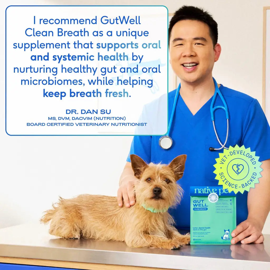 Native Pet GutWell | Dog Breath Freshener & Teeth Cleaning Powder | Triple-Biotic, Brown Algae & Zinc | 60 & 120 Scoops