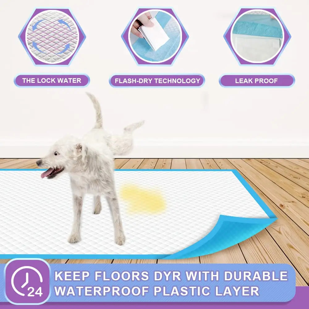 IMMCUTE Puppy Pee Pads 22"x23" & 30"x28" | 6-Layer Super Absorbent Leak-Proof Disposable Dog Training Pads