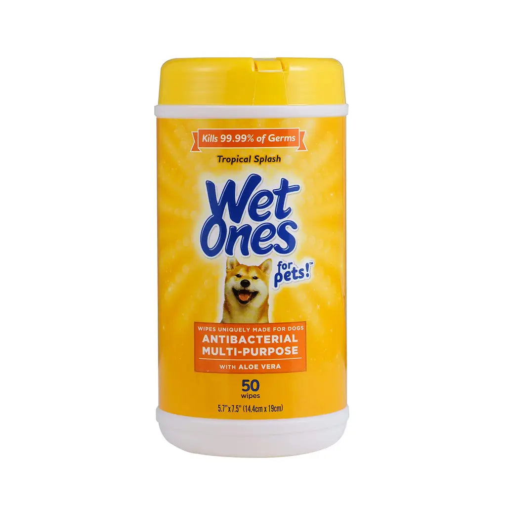 Wet Ones Antibacterial Dog Wipes with Aloe Vera, Tropical Splash Scent, 50 Count & 3-Pack | PawVortex