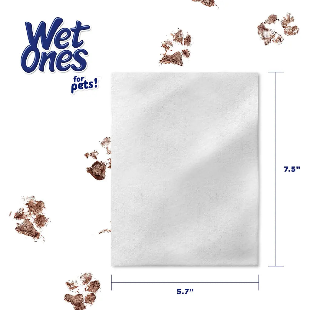 Wet Ones Antibacterial Dog Wipes with Aloe Vera, Tropical Splash Scent, 50 Count & 3-Pack | PawVortex