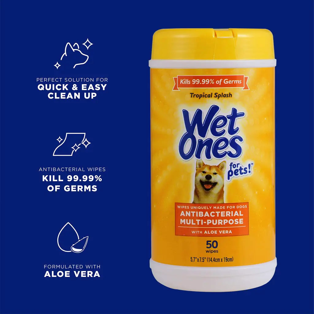 Wet Ones Antibacterial Dog Wipes with Aloe Vera, Tropical Splash Scent, 50 Count & 3-Pack | PawVortex