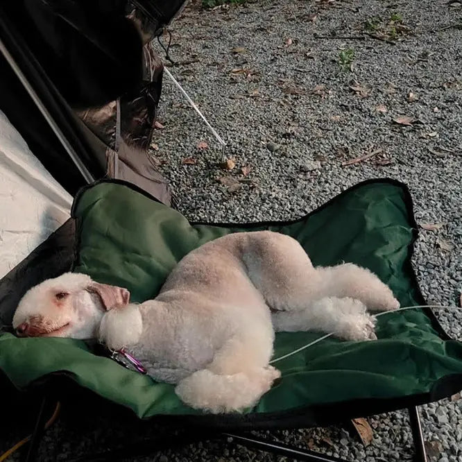 Portable Folding Pet Camp Bed – Outdoor Travel Mattress