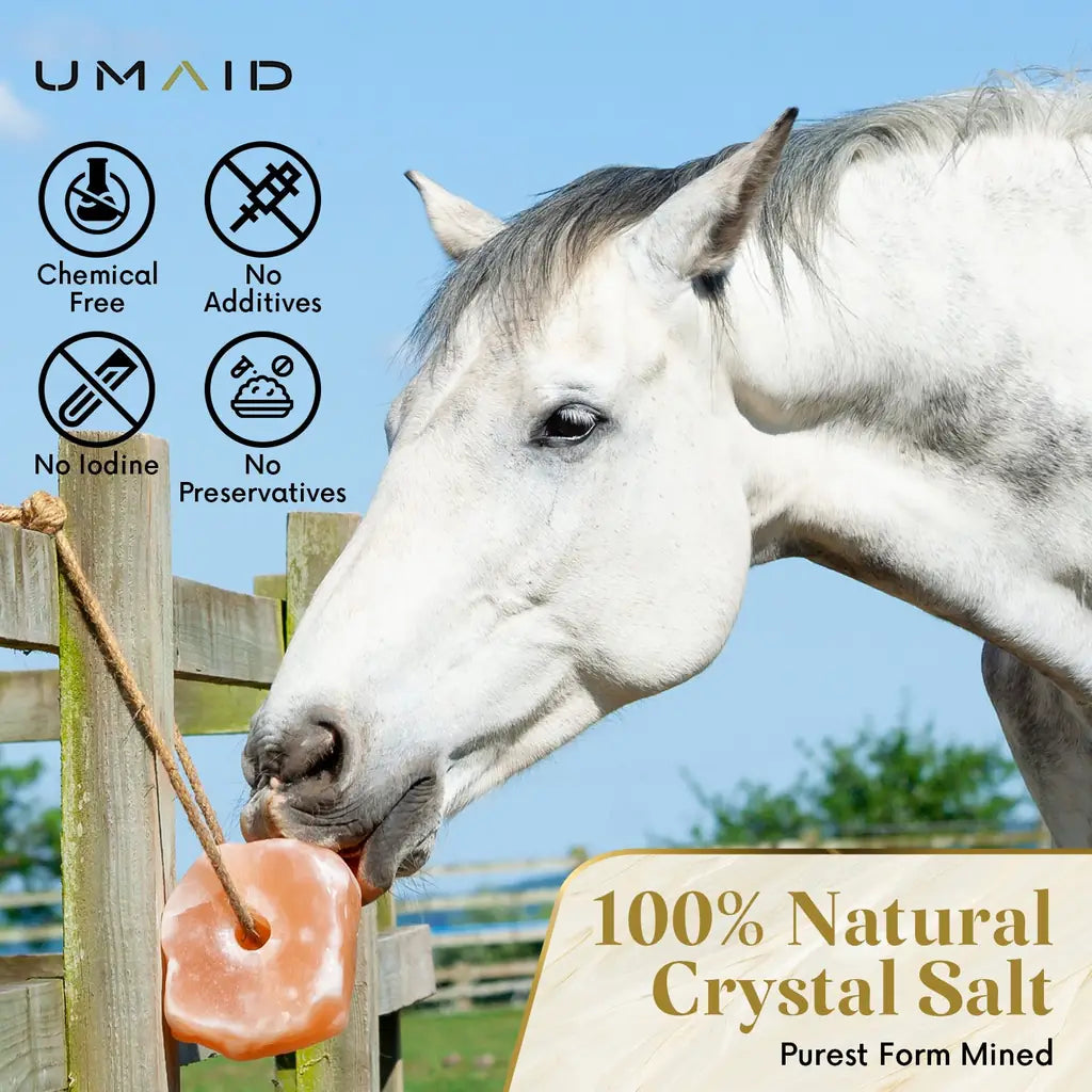 Himalayan Animal Lick Salt On Rope for Horses, Deer, and Livestock