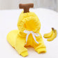 Fruity Friends Hoodie - Apple Print Pet Sweater