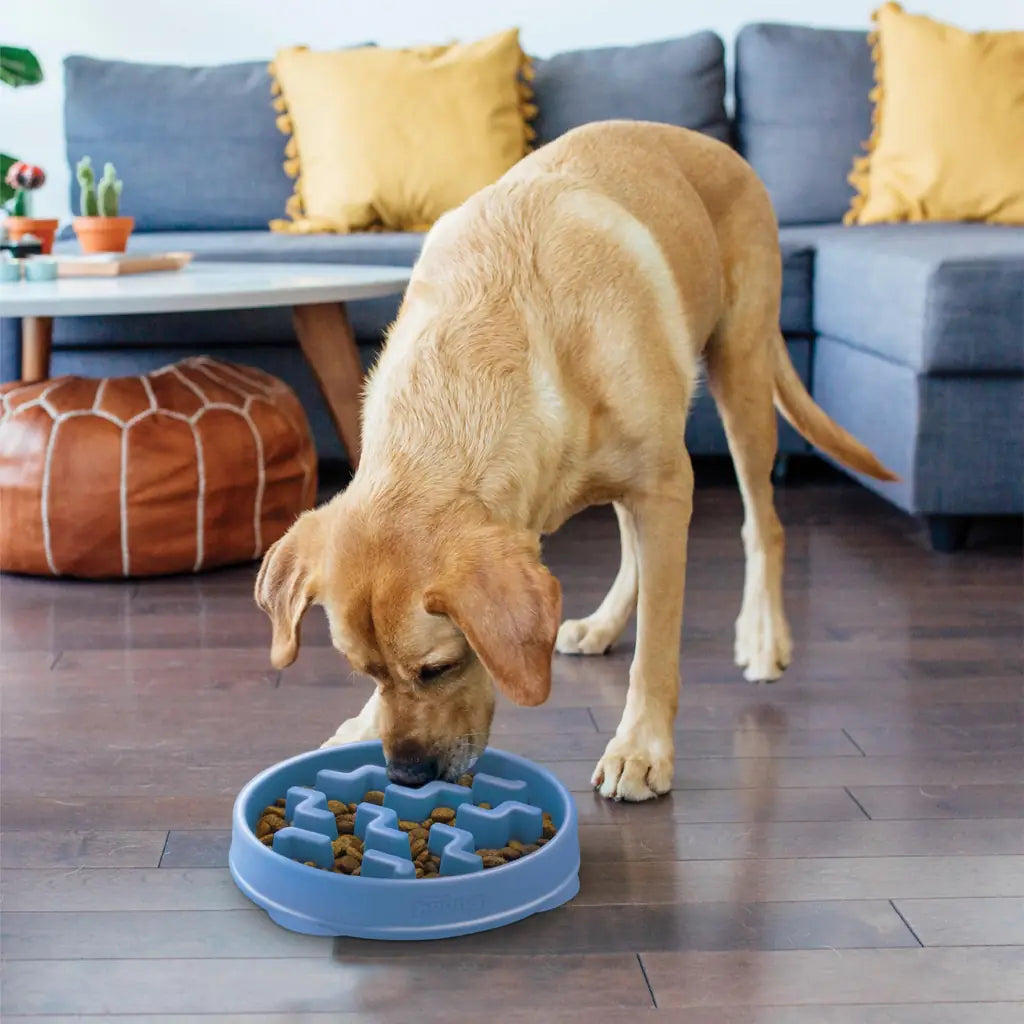 4-Cup Slow Feeder Dog Bowl for Large Breeds
